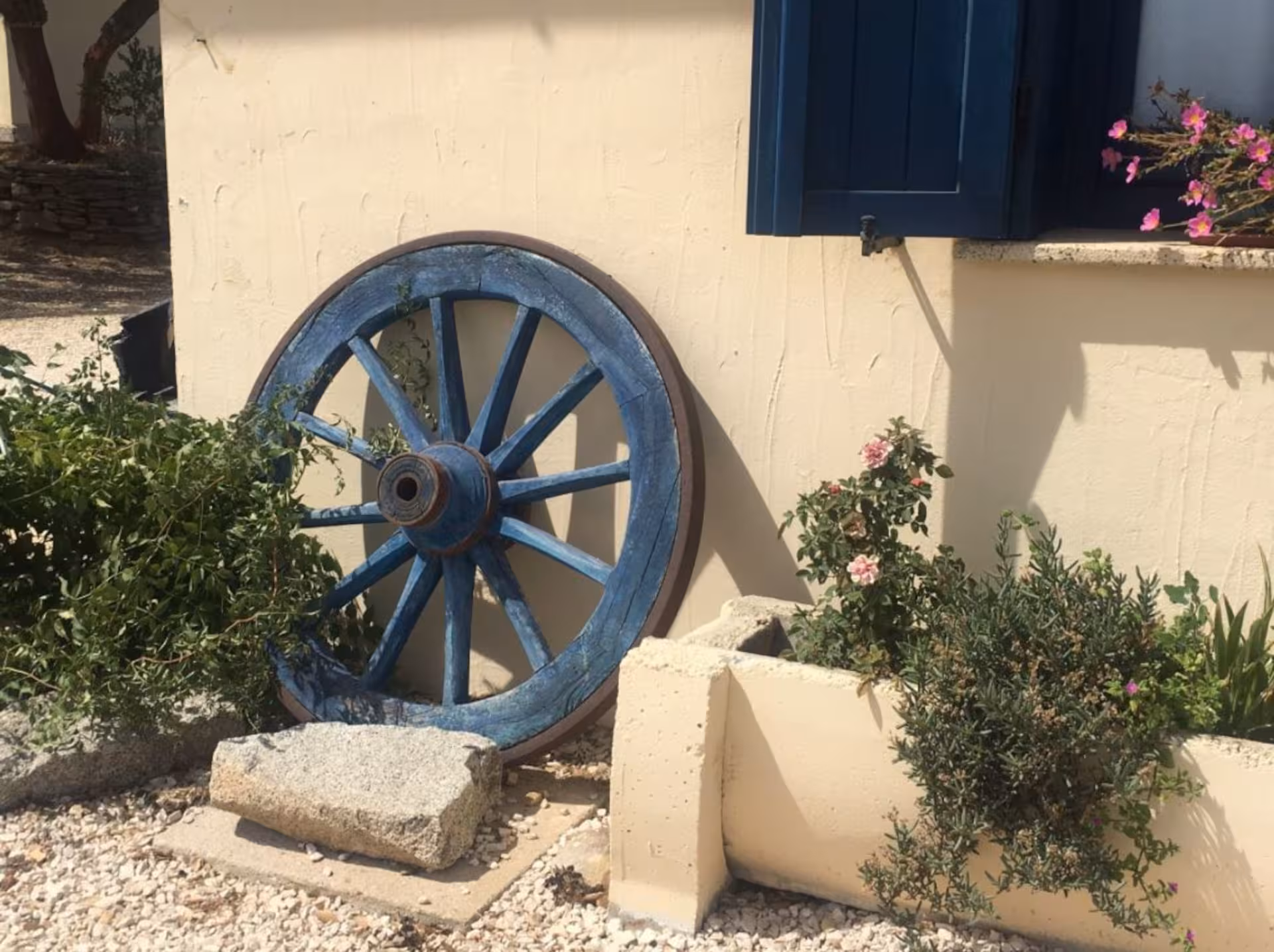 Charming rustic decor with a blue wooden wheel and flowering plants, capturing the essence of Bitti's pastoral charm.