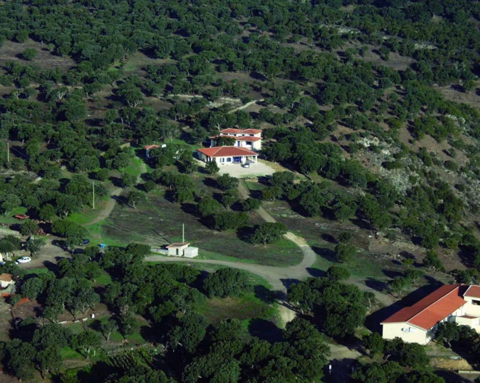 Aerial view of a rustic countryside setting in Bitti with traditional buildings and lush greenery for a shepherd's tour.