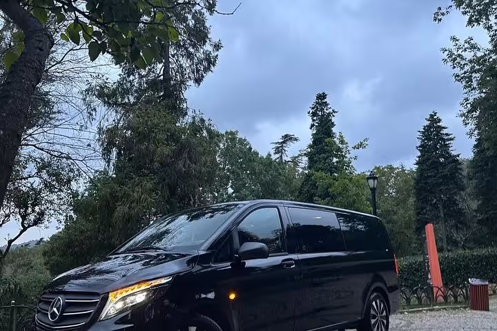 Black Mercedes van for private car tour and rent with driver, parked in a scenic park under cloudy sky