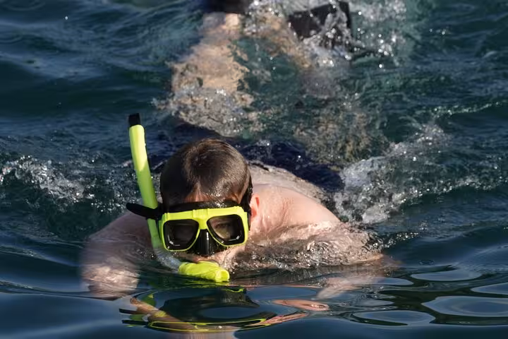Snorkeler with bright gear exploring clear waters during an adventurous Blue Dolphin catamaran tour.