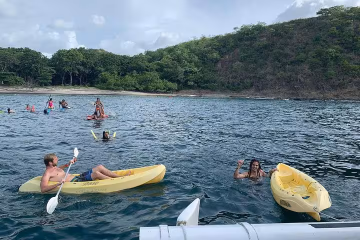 Kayakers and swimmers enjoy the scenic waters during the Blue Dolphin Catamaran Tour near a lush island shoreline.