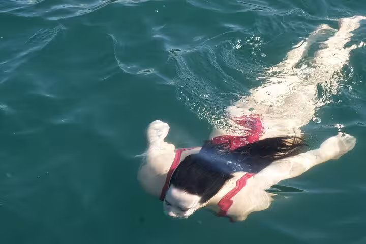 A swimmer in a pink swimsuit enjoys the clear waters during the Blue Dolphin catamaran tour.