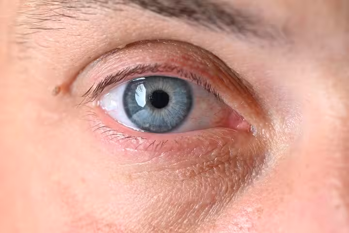 Close-up of a blue eye capturing the intricate details and vibrant color, perfect for the Iris Photography Experience.