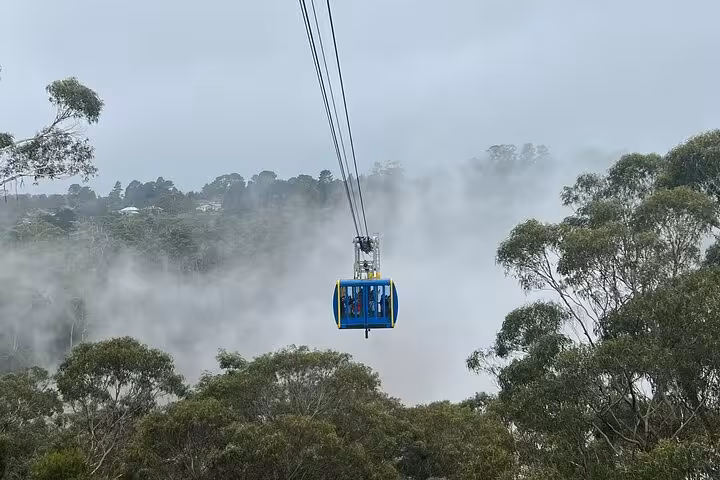 Blue cable car gliding through misty Blue Mountains forest, part of a scenic private daily group tour experience.