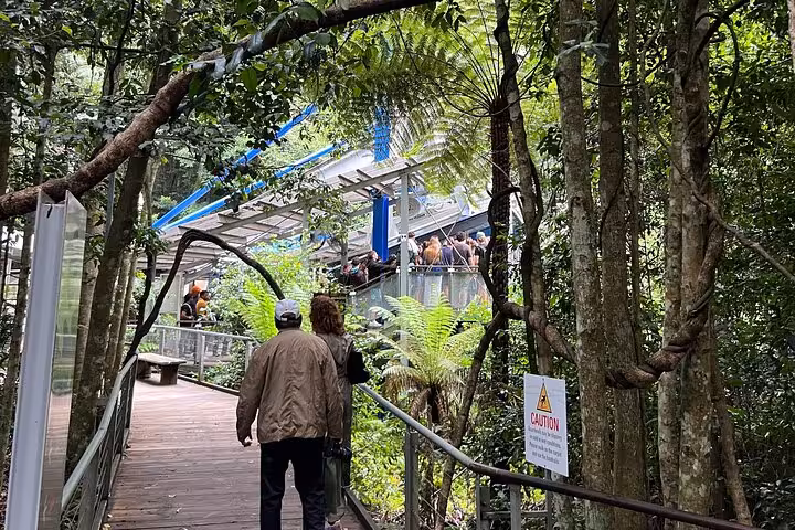 Tourists walking through lush forest to Scenic World entry, highlighting Blue Mountains eco-tourism and hidden gems.