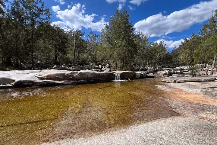 Tranquil stream flowing through lush forest in Blue Mountains, perfect for a serene private hiking tour experience.