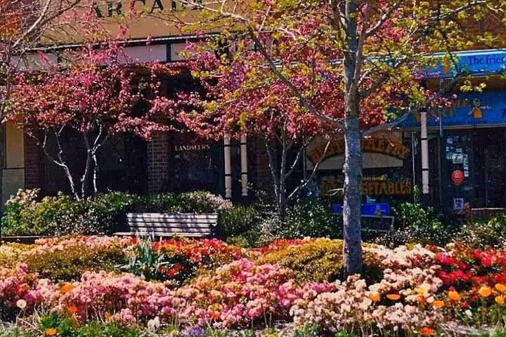 Colorful spring blooms and vibrant trees surround a quaint bench in a Blue Mountains garden setting.