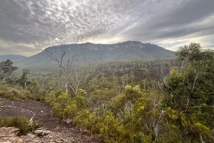 Dramatic cloud-covered Blue Mountains landscape with dense forest, a perfect spot for private hiking adventures.