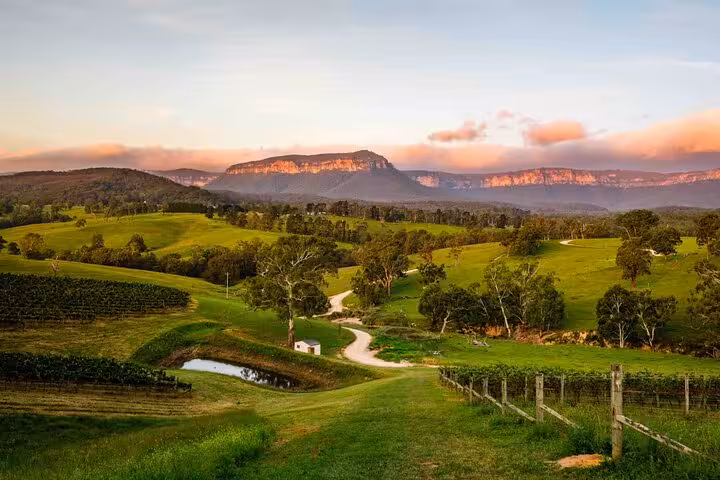 Scenic vineyard landscape in Blue Mountains at sunset, perfect backdrop for a winery tasting private tour.
