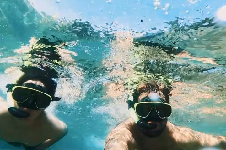 Snorkelers explore vibrant underwater life on an exhilarating boat tour experience.