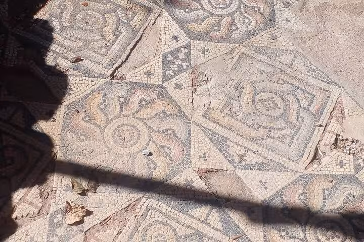Ancient Roman mosaic floor detail at Bodrum archaeological site on a small group city tour from cruise port