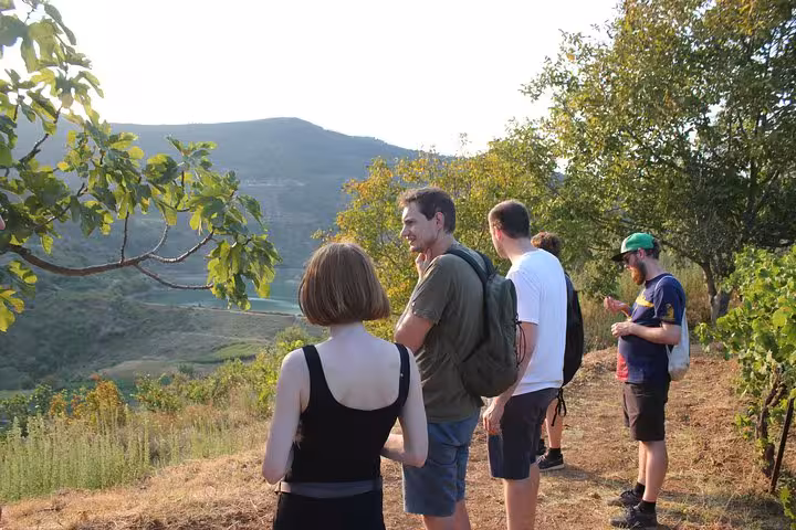 Tour group admiring scenic vineyard landscapes on the Bogove's Splendor wine tasting adventure tour.