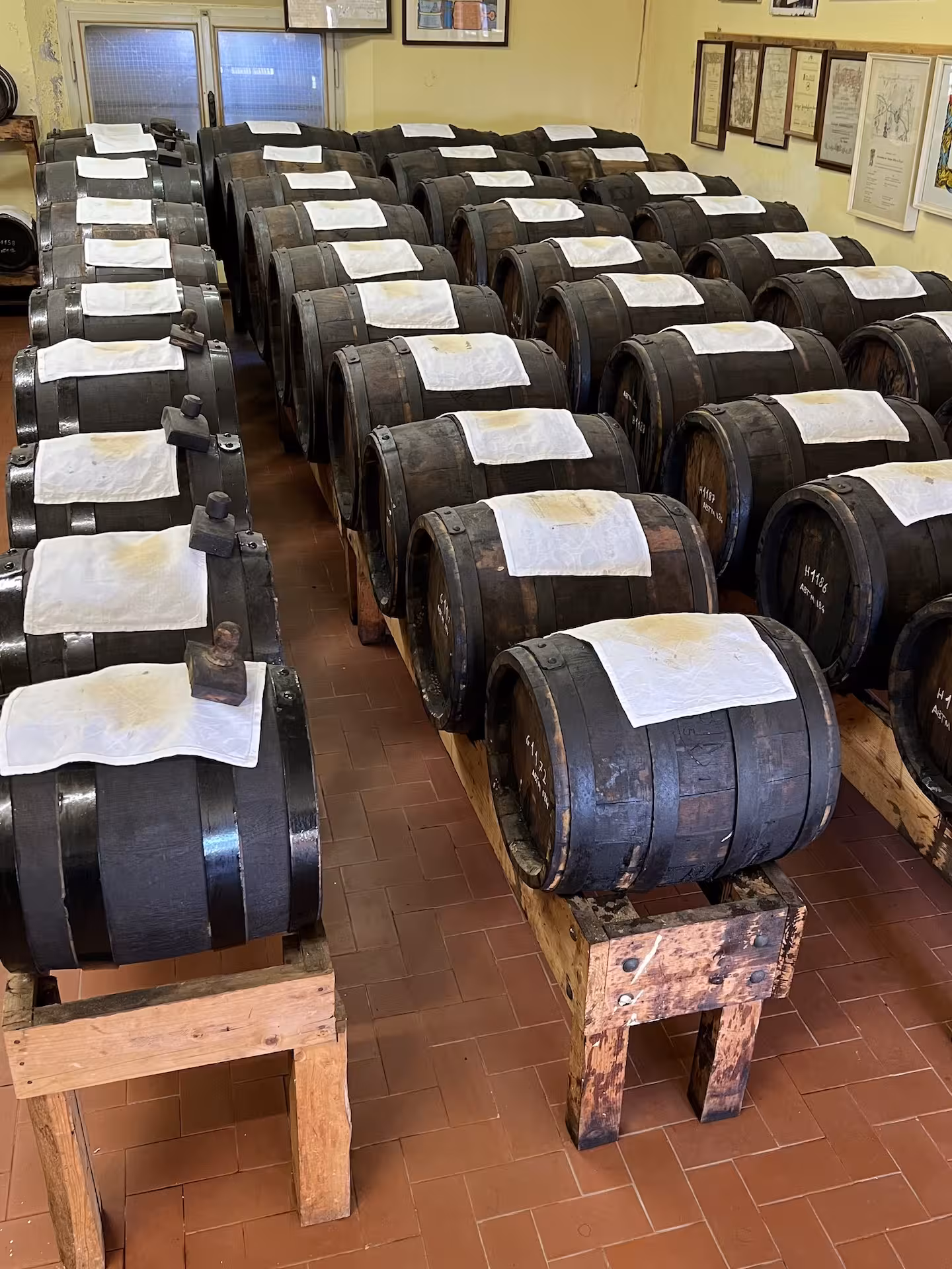 Traditional balsamic vinegar barrels aging in a Bologna cellar, emphasizing authentic Italian culinary heritage.