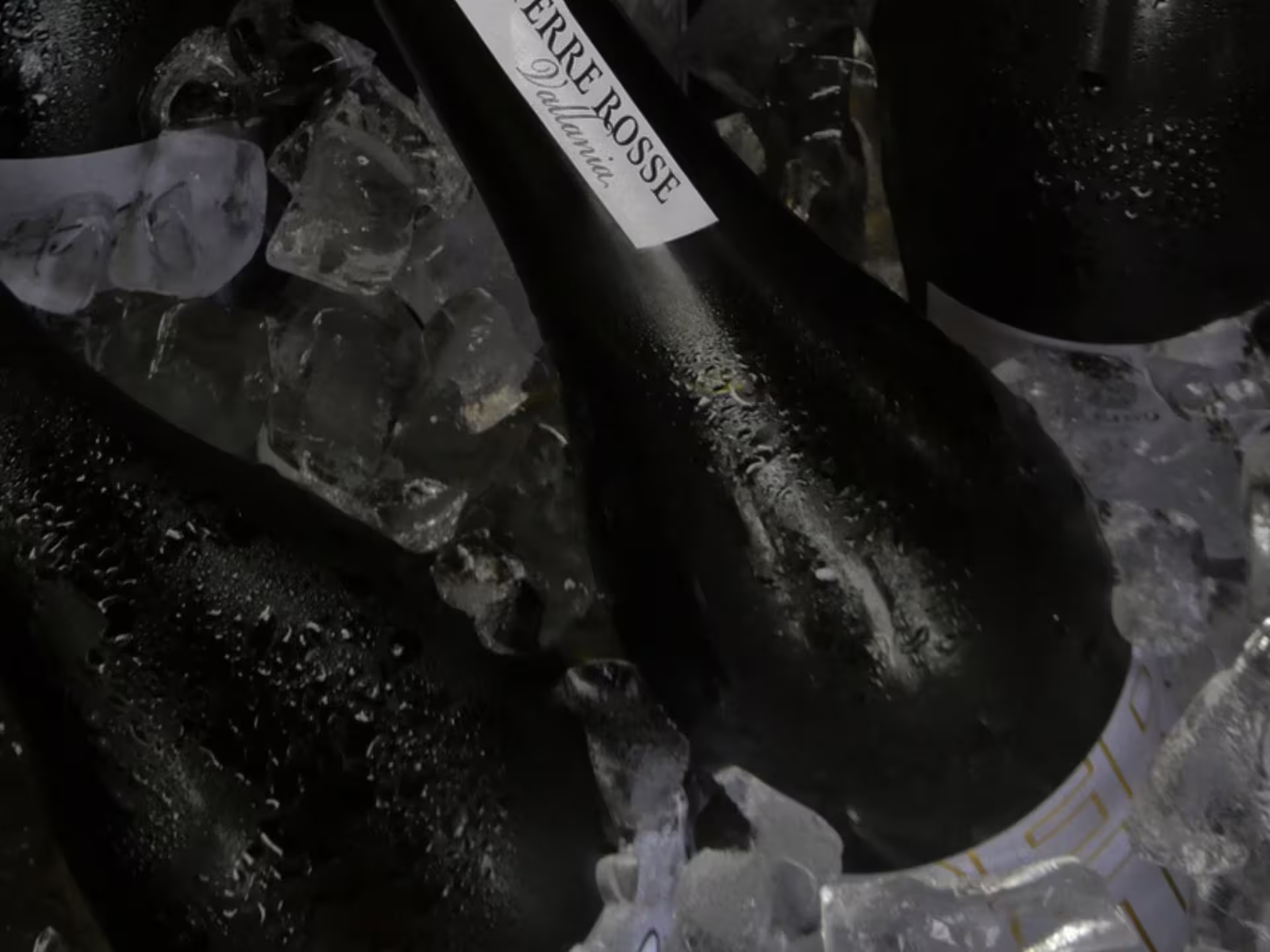 Chilled bottle on ice for wine tasting, part of boutique winery tour with food platter near Bologna