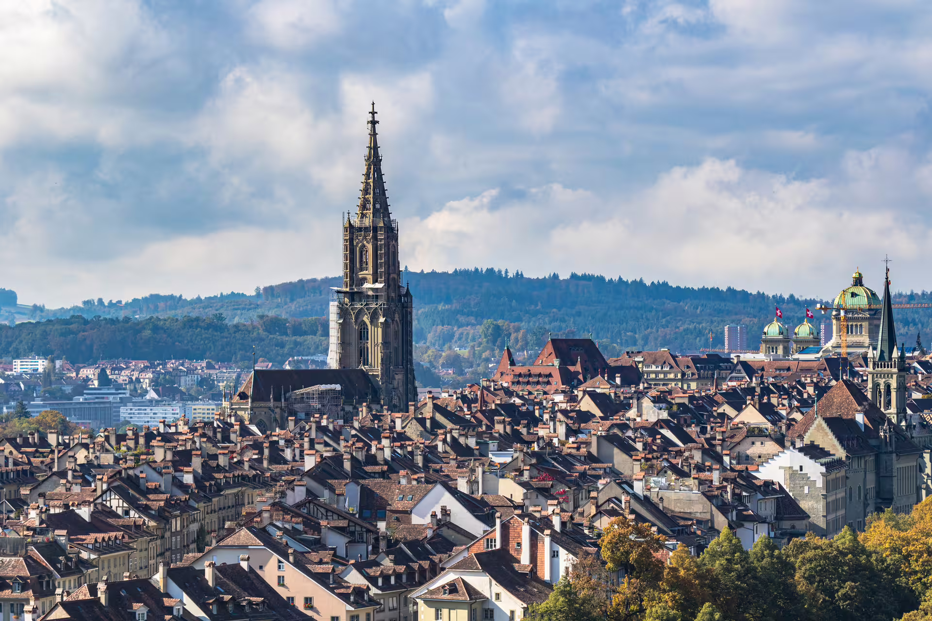 Panoramic Bonn skyline with Münster Basilica tower and rooftops, highlight of Bonn in 1 day walking tour audioguide