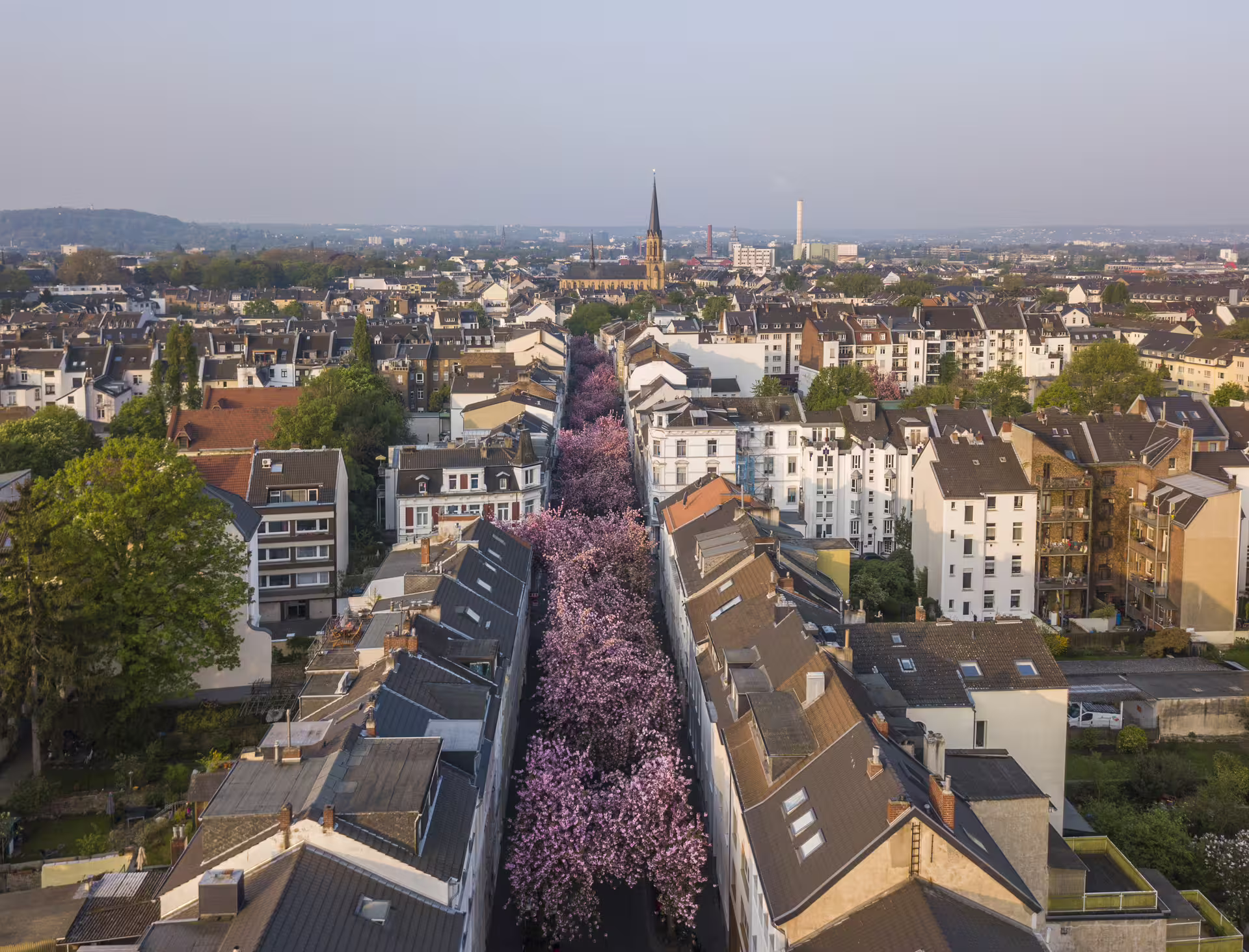 Aerial view of Bonn with cherry blossom avenue and rooftops, featured on 1-day walking tour audioguide