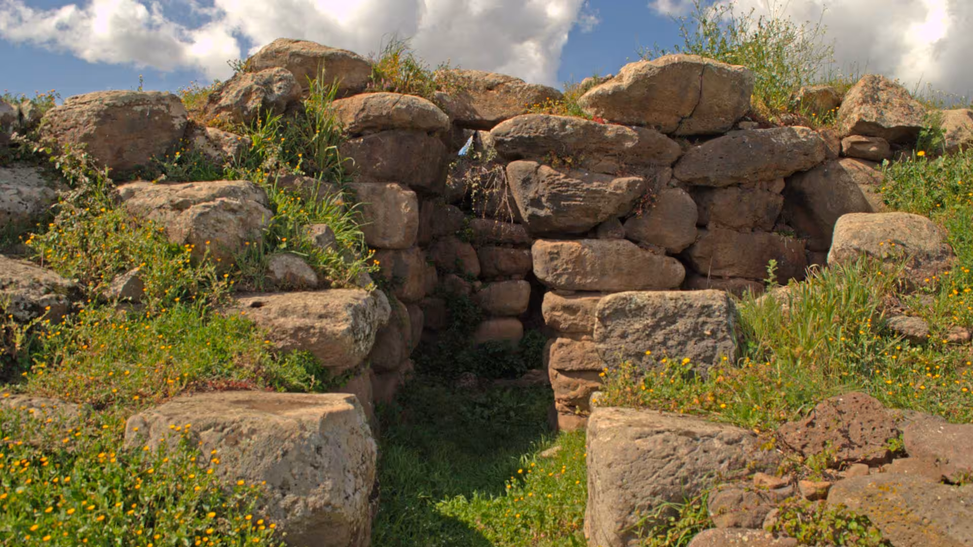 Discover historic stone structures with lush vegetation on the Borore archaeological tour and tasting adventure.
