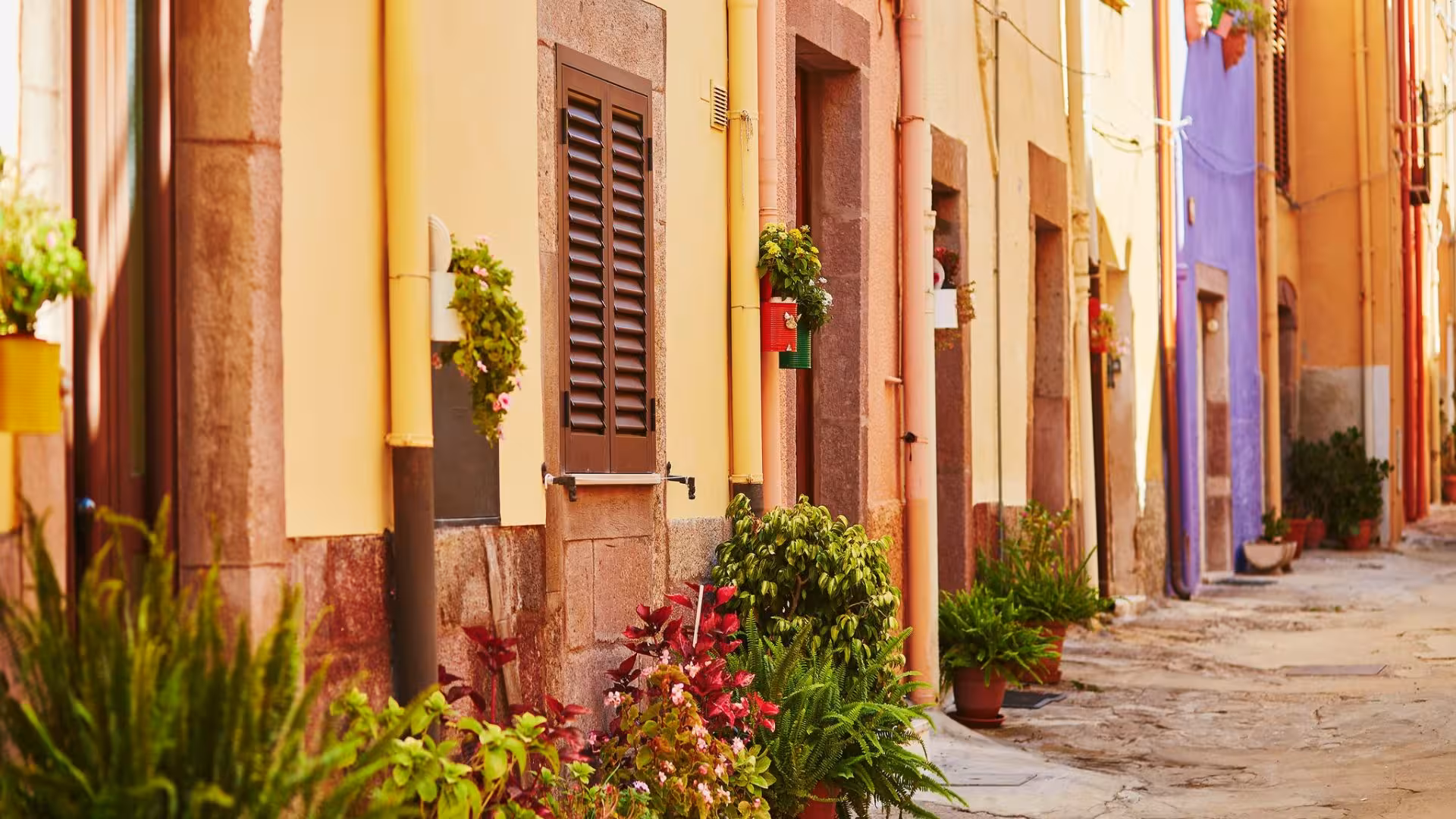 Vibrant street in Bosa lined with colorful buildings and lush potted plants, highlighting the town's charming character.