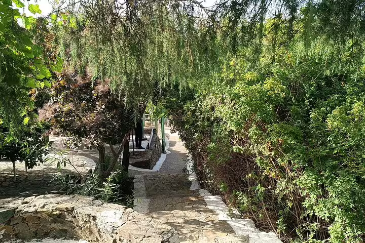 Peaceful stone pathway surrounded by dense greenery at the Botanical Garden in Chania, perfect for nature lovers.