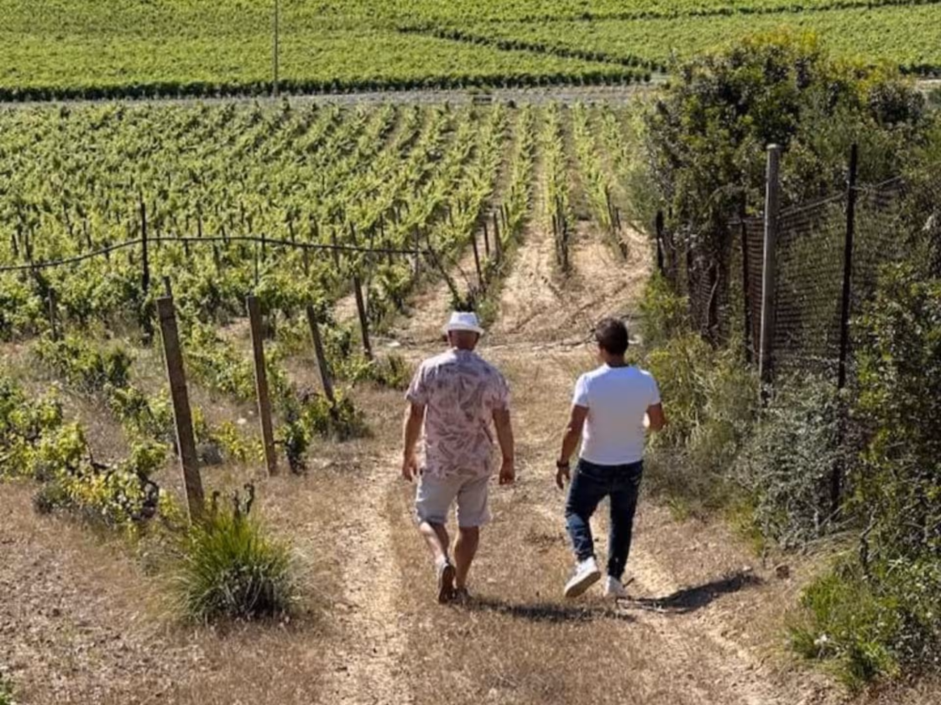 Two people walking through lush vineyards under the sunny skies near Cagliari on a boutique winery tour.