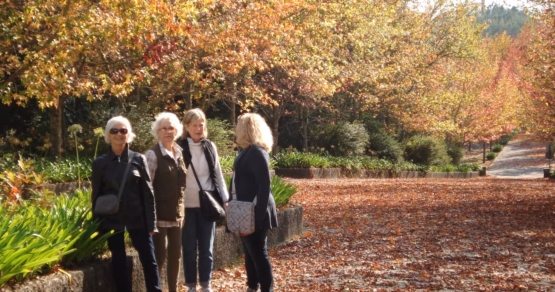 Small-group travelers walking in autumn gardens on Braga to Douro Valley wine tour with cruise and lunch