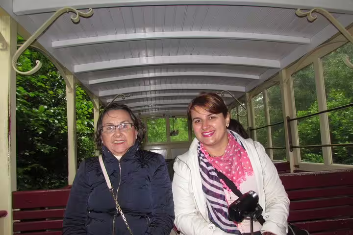 Two tourists enjoying a scenic train ride amidst lush greenery on the Braga and Guimarães tour from Porto.