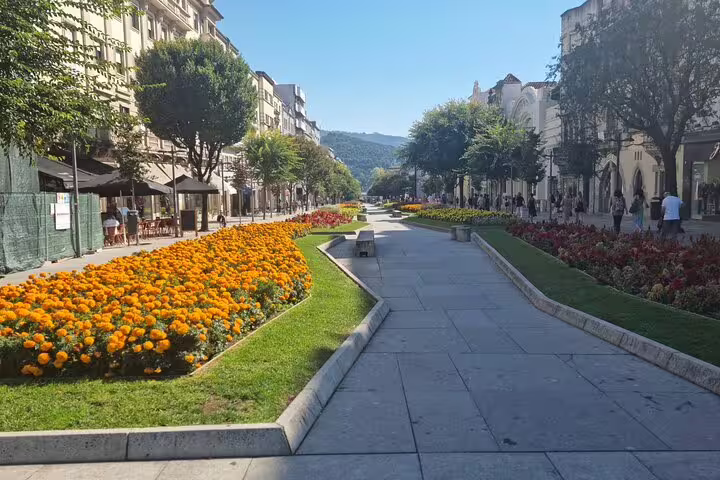 Scenic avenue in Braga lined with colorful flowerbeds and trees, perfect for a leisurely stroll.