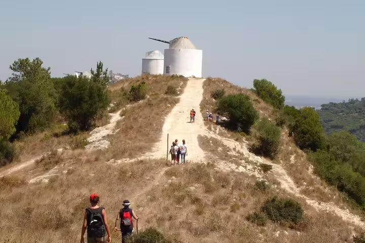 Hikers approach historic windmills atop a scenic hill during the Bread, Wine & Cheese, The Natural Taste tour.