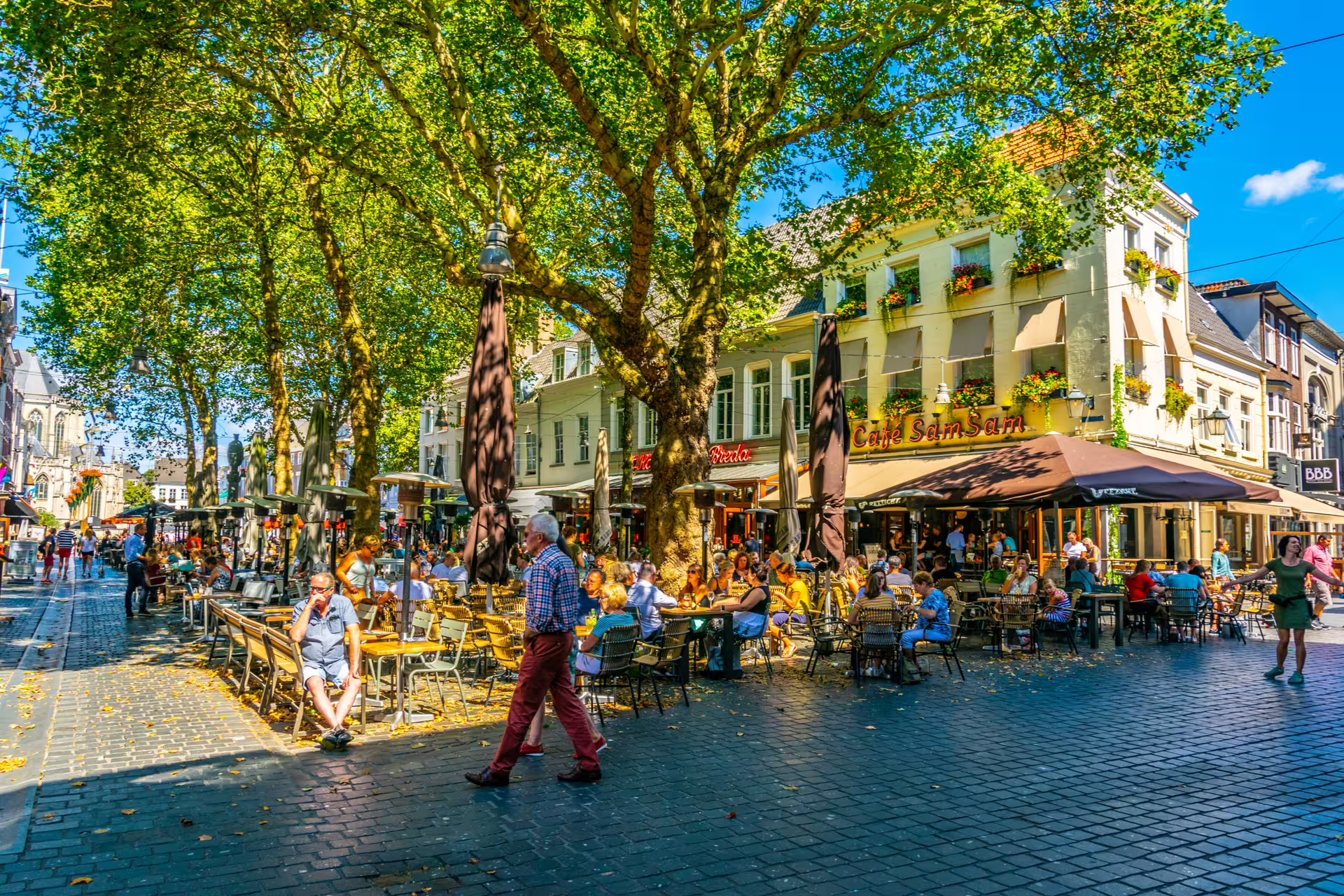 Sunny Breda Grote Markt terrace cafes under leafy trees on a self-guided 1-day walking tour audioguide