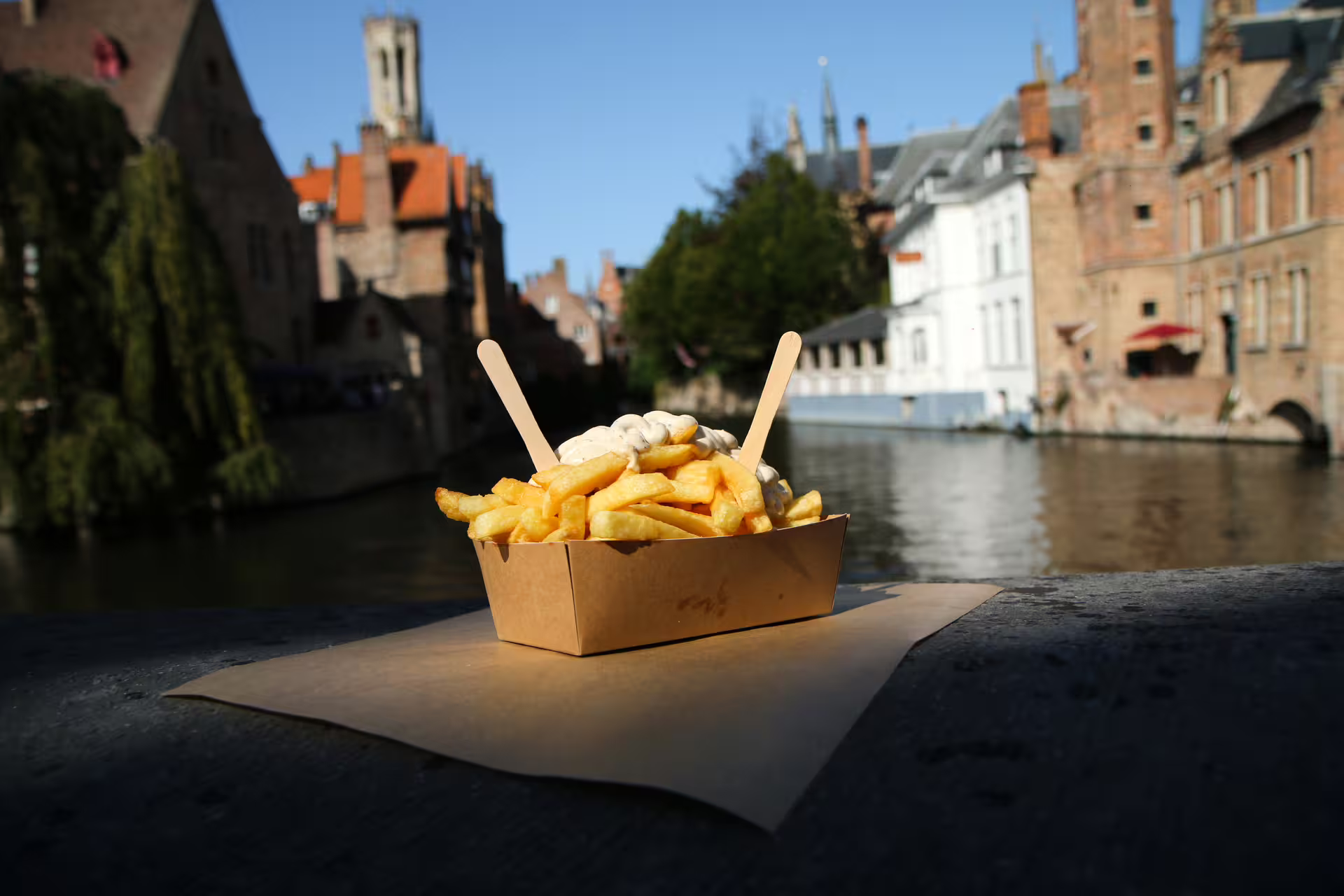 Belgian fries by a Bruges canal, tasty stop on a 1-day Bruges walking tour with multilingual audioguide