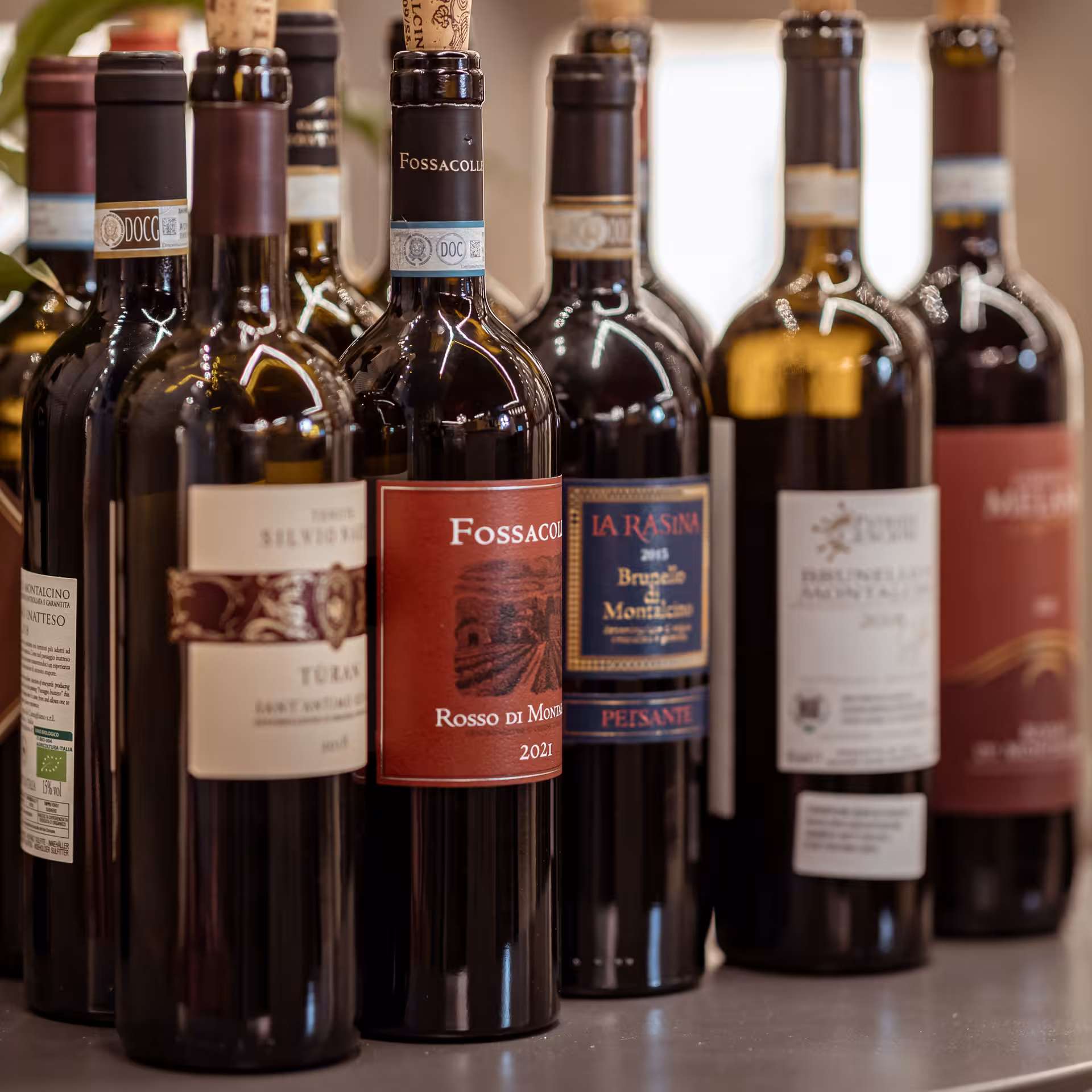 Selection of Brunello di Montalcino wine bottles showcasing premium labels for tasting in Sant'Antimo Abbey tour.