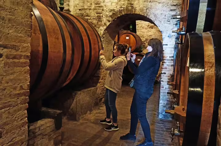 Guests photographing giant oak barrels inside a historic Tuscan winery during a guided Brunello and Vino Nobile tasting tour