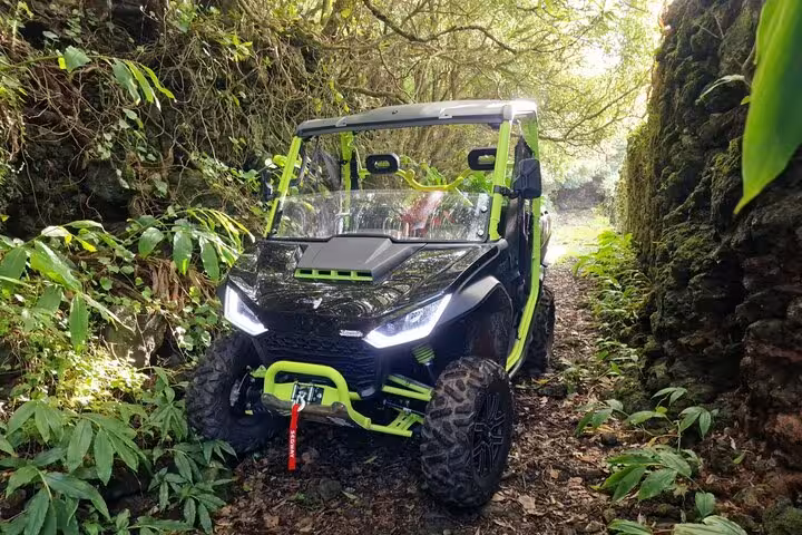 Side view of a buggy on a narrow forest path in Mount Pico, perfect for an exhilarating off-road experience.