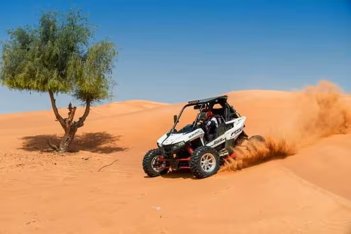 Off-road dune buggy drifting on golden Sinai sand near a lone tree on Buggy Safari Sharm El Sheikh trip