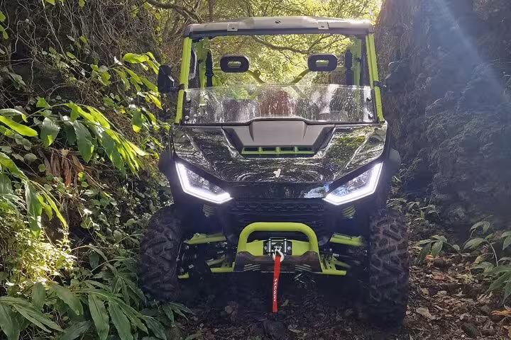 Front view of a buggy navigating through lush green forest trail on Pico Island vineyard tour.