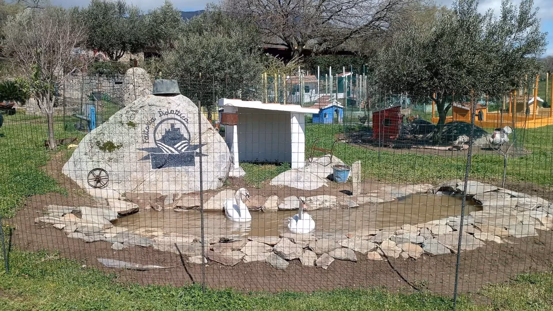 Charming farm pond with swans and rustic surroundings at a Burgos farm tour, ideal for nature and animal enthusiasts.
