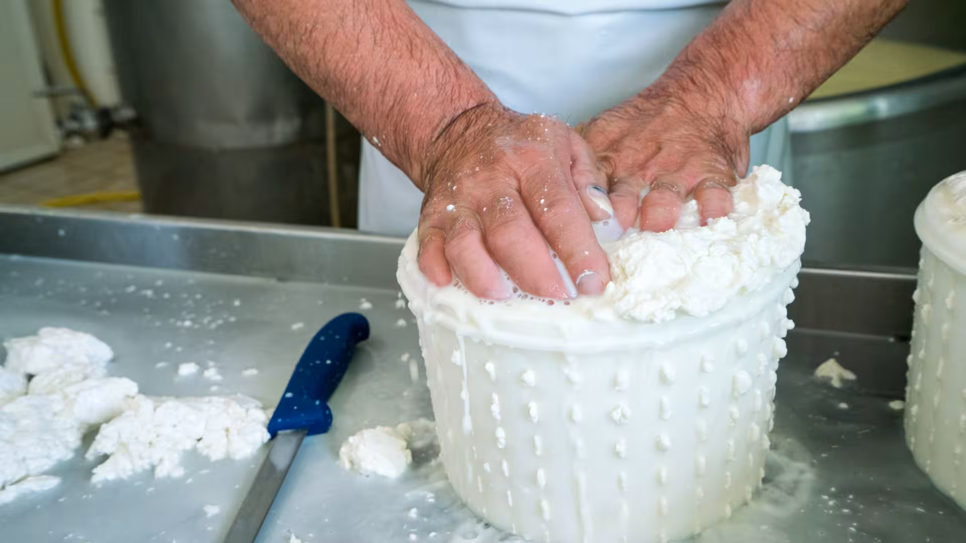 Hands pressing fresh pecorino cheese curds in a traditional Sardinian workshop setting.