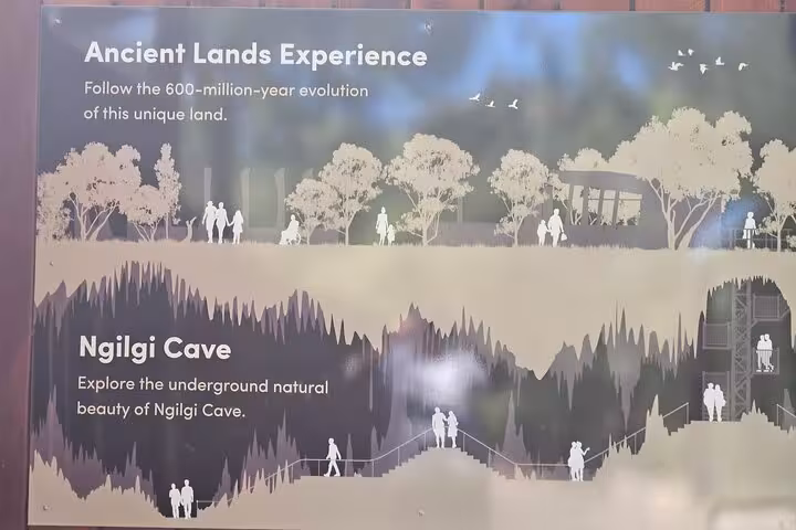 Illustrated sign promoting the Ancient Lands Experience and Ngilgi Cave exploration in Busselton tour.