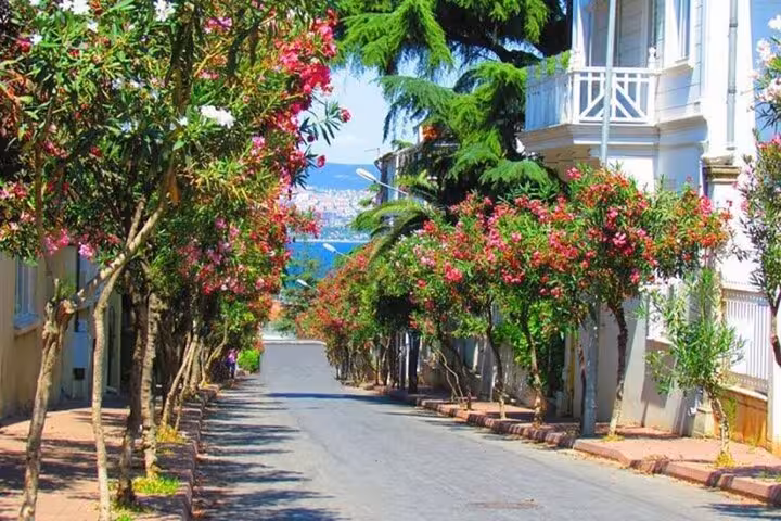 Tree-lined Büyükada street with colorful bougainvillea, a scenic stop on Istanbul Princes Islands tour