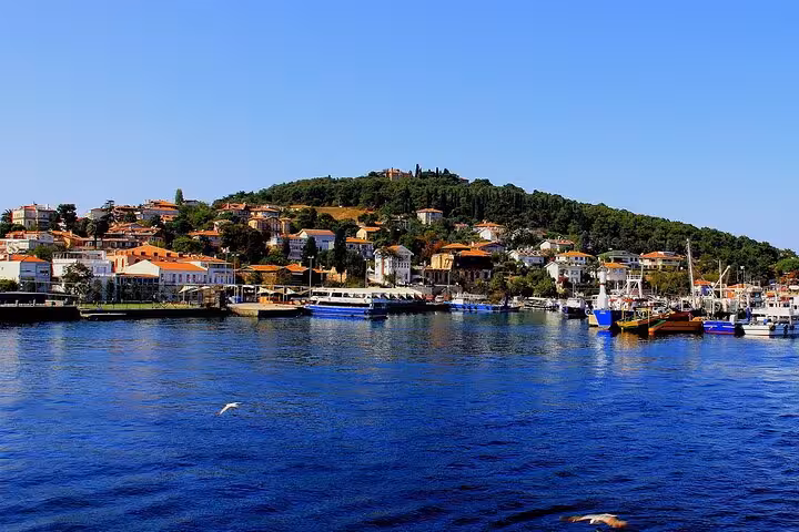 Büyükada waterfront and harbor on Istanbul Princes Islands tour, colorful homes and boats along the shore