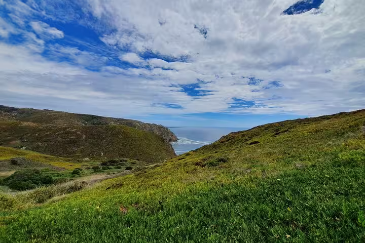 Scenic view of Cabo da Roca's lush green cliffs meeting the Atlantic Ocean under a vibrant sky on a Sintra and Cascais tour.