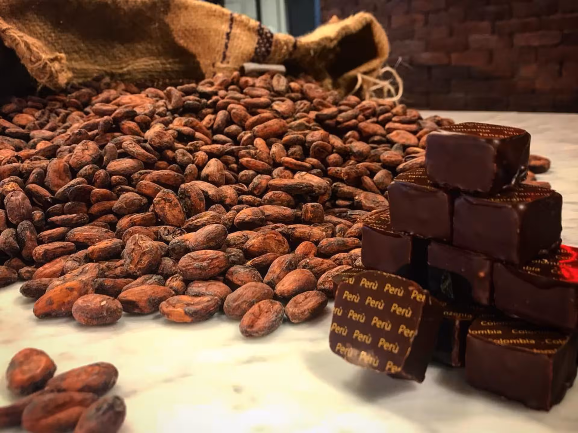 Cacao beans spilling from a sack beside artisanal chocolate pieces on a factory tour near Alessandria.