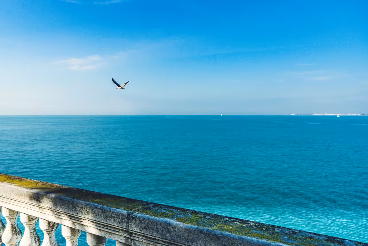 Serene ocean view from Cadiz's promenade with a seagull in flight, ideal for a relaxing day trip.
