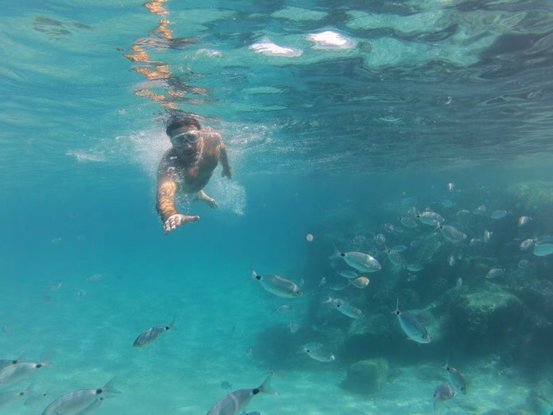 Snorkeler exploring vibrant marine life in crystal-clear waters during Cagliari to Chia jeep tour adventure.