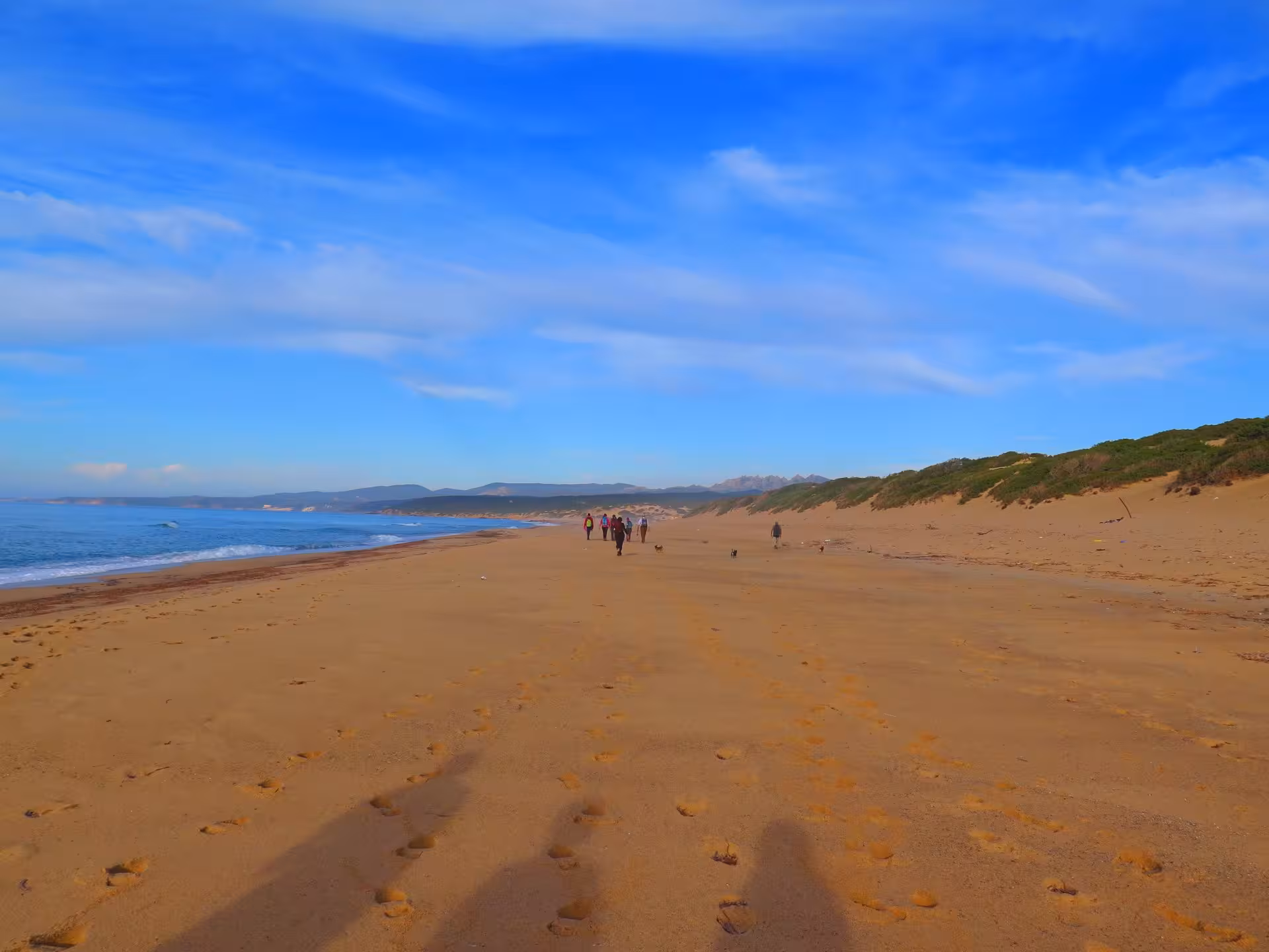 Tourists walking along the vast sandy beach of Piscinas under a vibrant blue sky, perfect for a guided Cagliari tour.