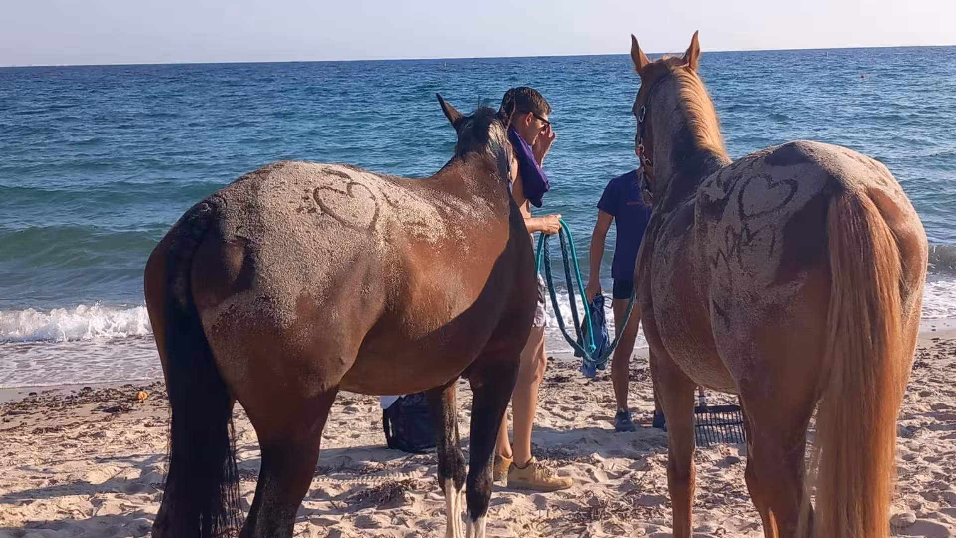 Two horses with sandy heart designs stand on a Cagliari beach during a sunrise horseback riding experience.