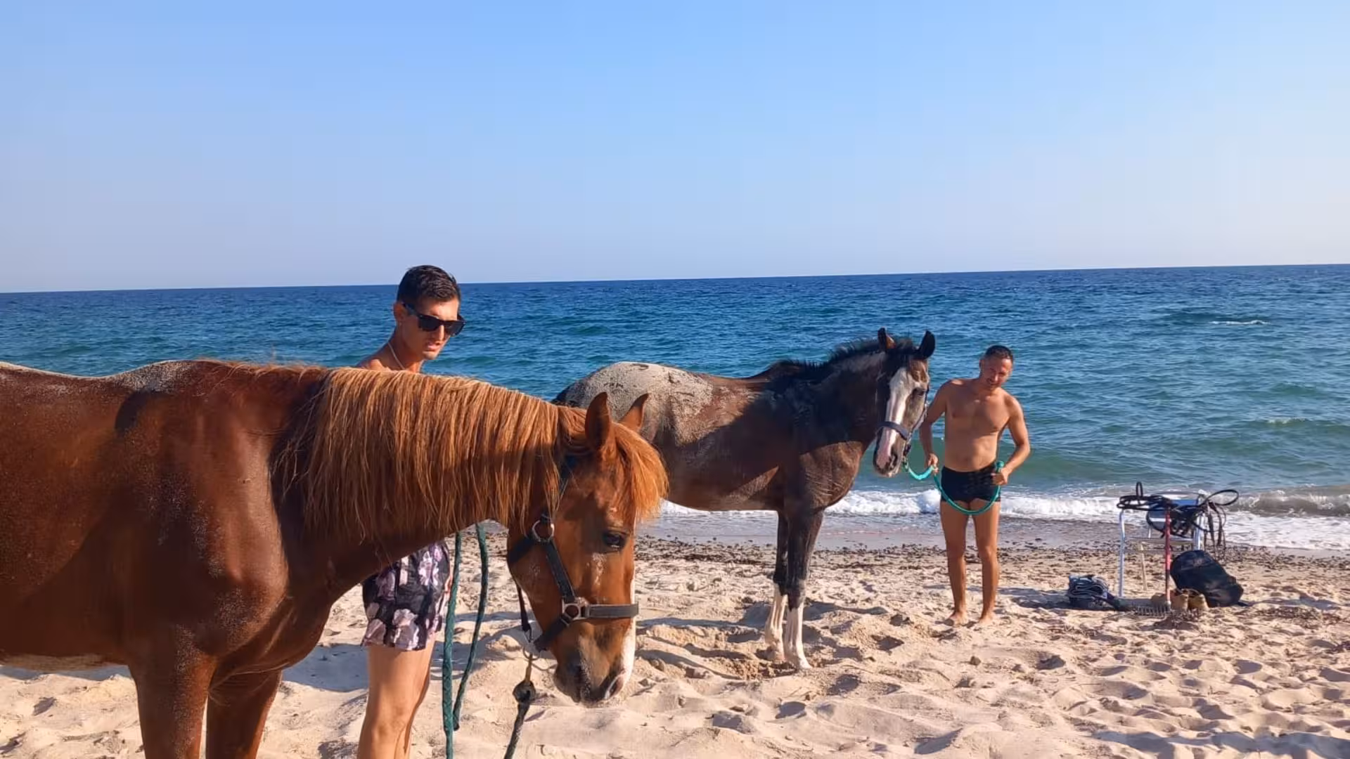 Two men with horses on Cagliari's sandy beach, preparing for a thrilling horseback ride and sunrise dive experience.