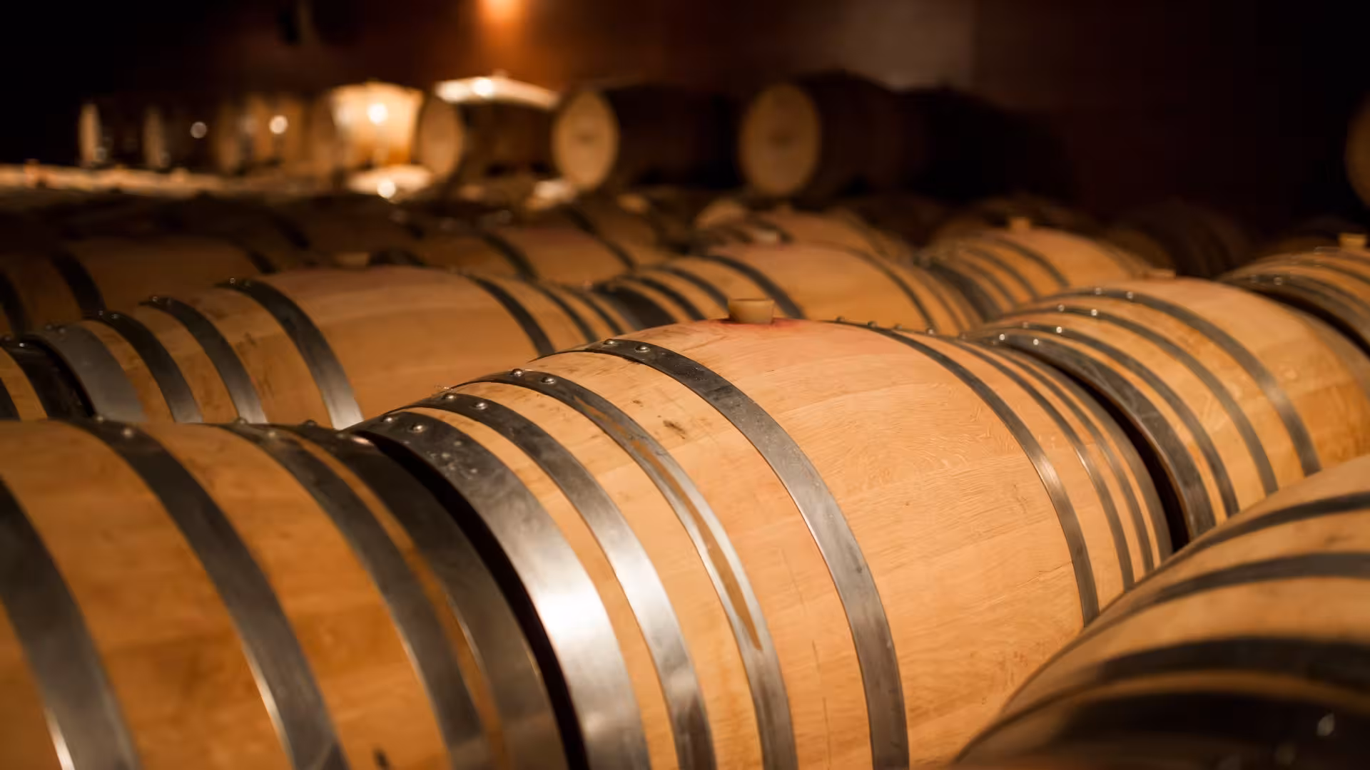 Numerous oak barrels in a Cagliari winery cellar, highlighting the traditional wine aging process.