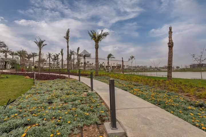Palm-lined walkway and gardens near Cairo Citadel area, scenic stop on National Museum to Citadel & Bazaars tour