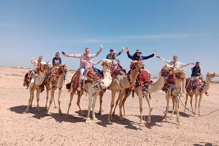 Tourists riding decorated camels in the desert on a Cairo day tour by plane from Marsa Alam, Egypt